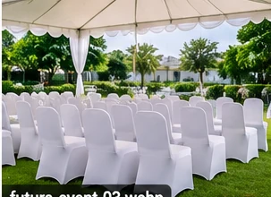 Sewa Kursi Futura untuk Conference