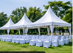 Sewa Kursi Futura untuk Product Launching