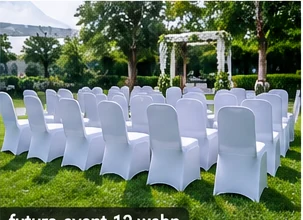 Sewa Kursi Futura untuk Customer Gathering