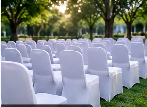 Sewa Kursi Futura untuk Acara B2B